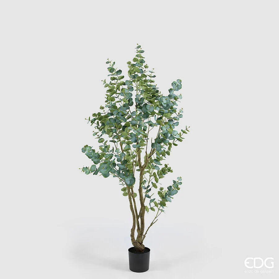 EDG Enzo De Gasperi Eucalipto con Vaso H 210 Cm Pianta Artificiale Verde