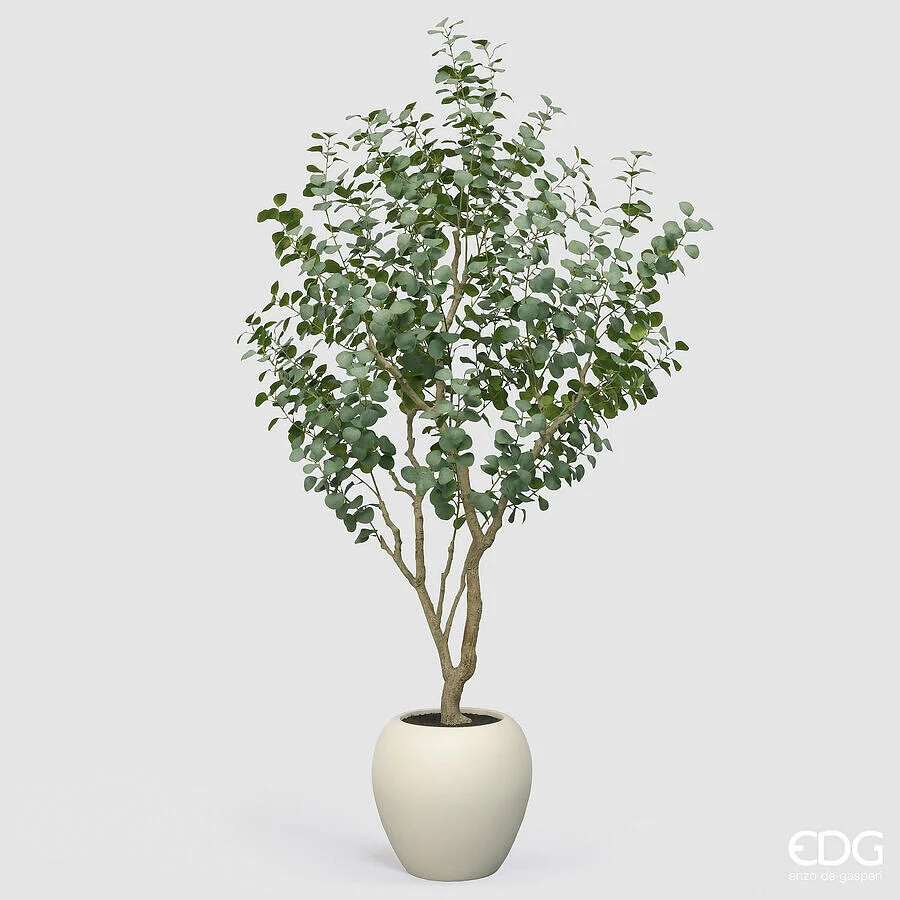 EDG Enzo De Gasperi Eucalipto con Vaso H 244 Cm Pianta Artificiale Verde