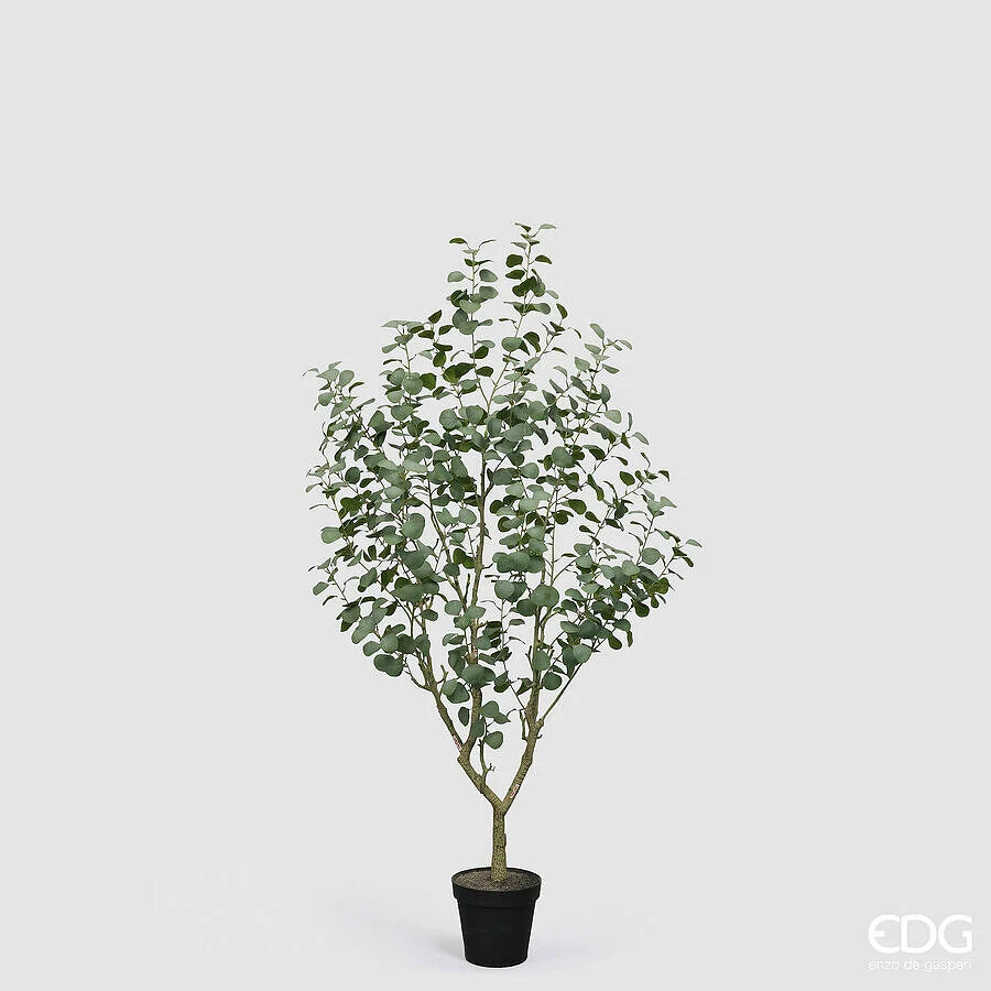 EDG Enzo De Gasperi Eucalipto Vogue con Vaso Pianta Artificiale H 190 Cm Verde