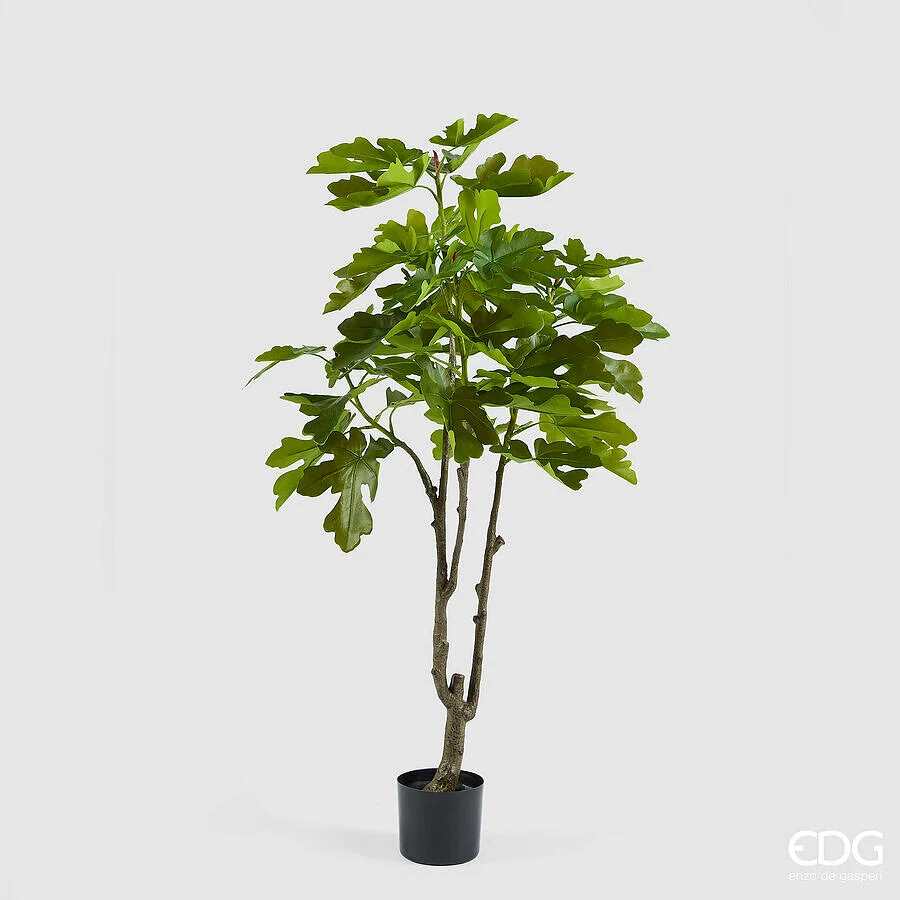 EDG Enzo De Gasperi Fico con Vaso H 150 Cm Pianta Artificiale Verde