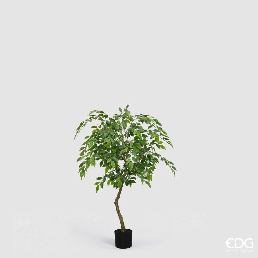 EDG Enzo De Gasperi Ficus Beniamino Vogue con Vaso Pianta Artificiale H 100 Cm Verde