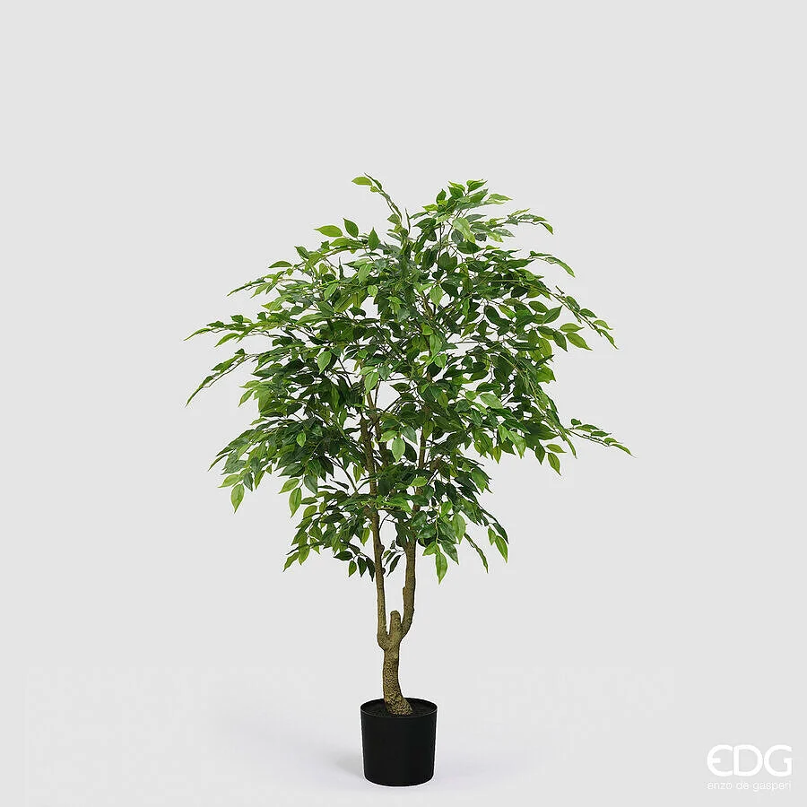 EDG Enzo De Gasperi Ficus Beniamino Vogue con Vaso Pianta Artificiale H 156 Cm Verde