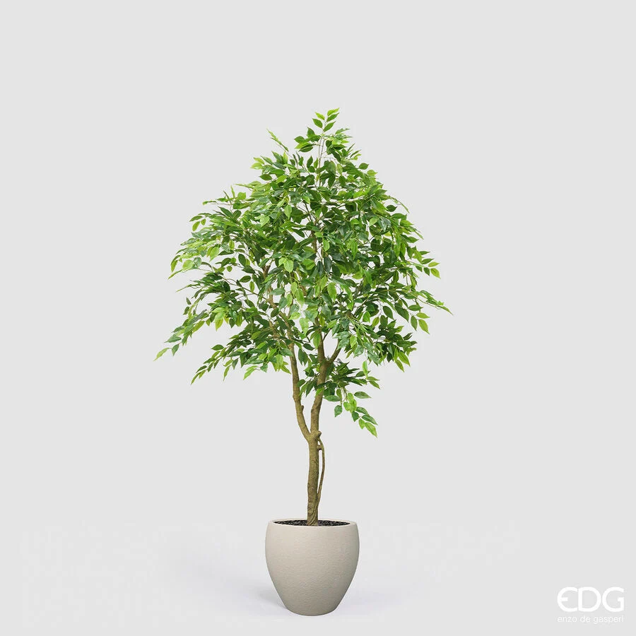 EDG Enzo De Gasperi Ficus Beniamino Vogue con Vaso Pianta Artificiale H 170 Cm Verde