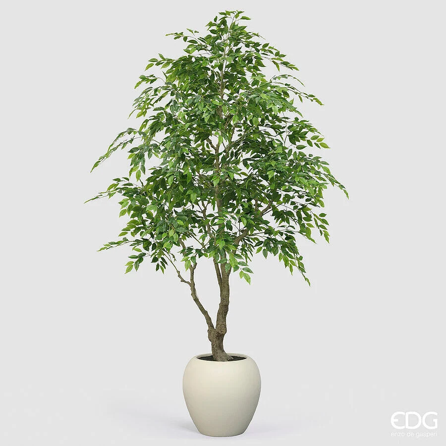 EDG Enzo De Gasperi Ficus Beniamino Vogue con Vaso Pianta Artificiale H 224 Cm Verde