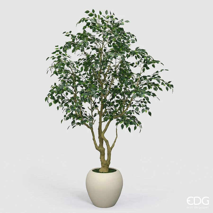 EDG Enzo De Gasperi Ficus Beniamino Vogue con Vaso Pianta Artificiale H 240 Cm Verde