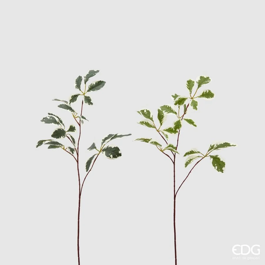 EDG Enzo De Gasperi Ficus Benjiamin Rex Ass. H 73 Cm Pianta Artificiale Bianco Verde 1 Pz