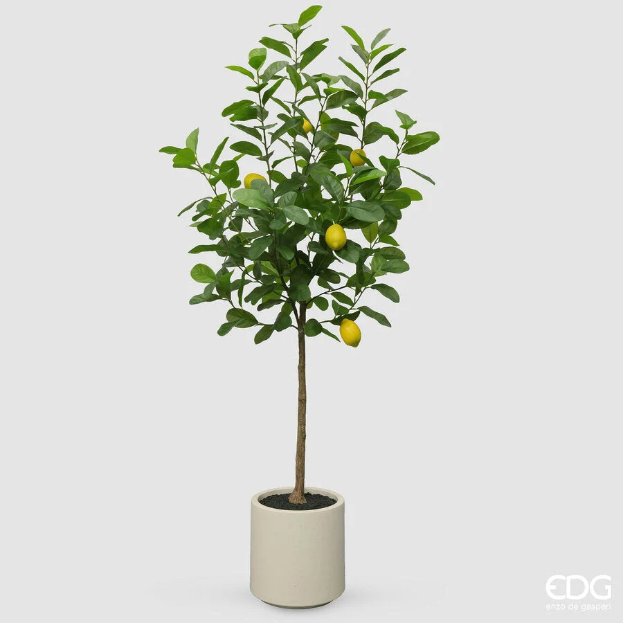 EDG Enzo De Gasperi Limone  Vogue x5 con Vaso Pianta Artificiale H 160 Cm Verde Giallo