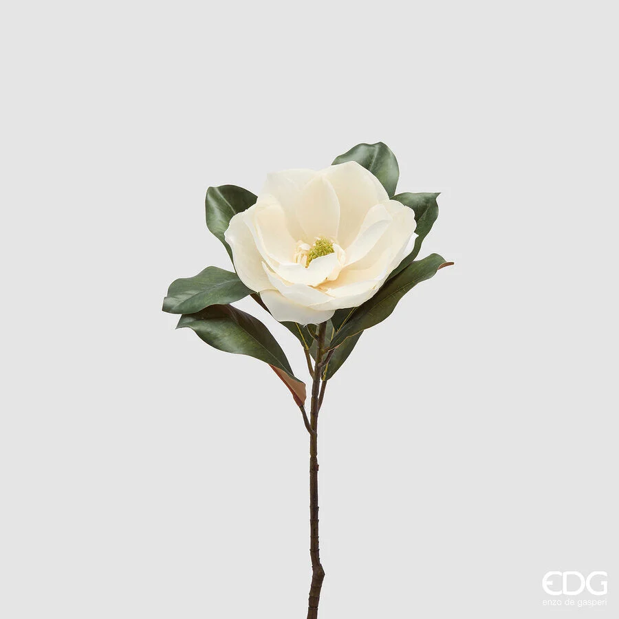 EDG Enzo De Gasperi Magnolia Ramo con Foglie H 43 Cm Pianta Artificiale Colore Avorio