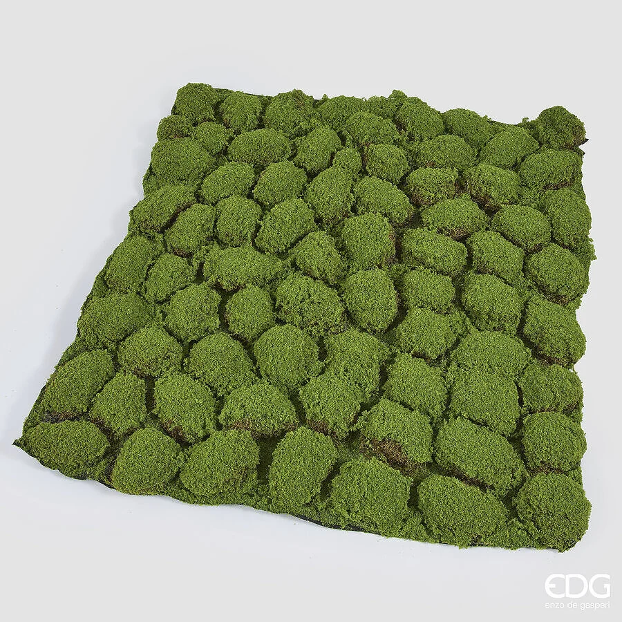 EDG Enzo De Gasperi Muschio Tappeto Artificiale H 5 Cm L 100 cm L 100 Cm Verde