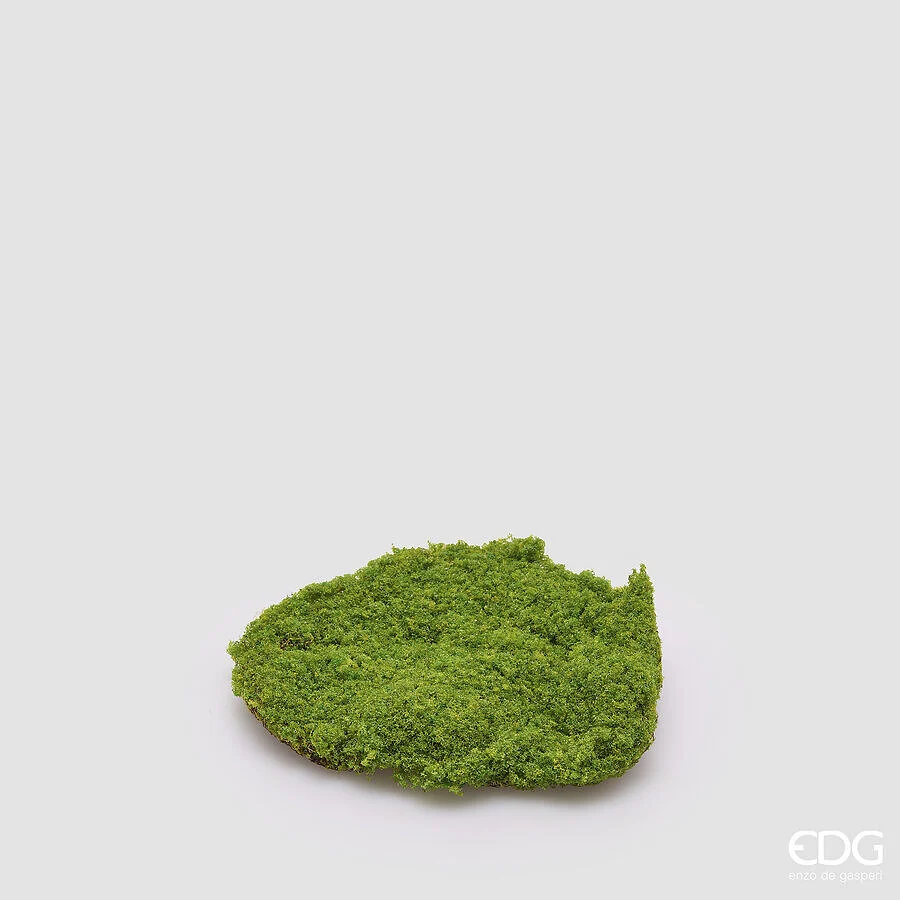 EDG Enzo De Gasperi Muschio Zolla Artificiale H 5 Cm D 20 Cm Verde