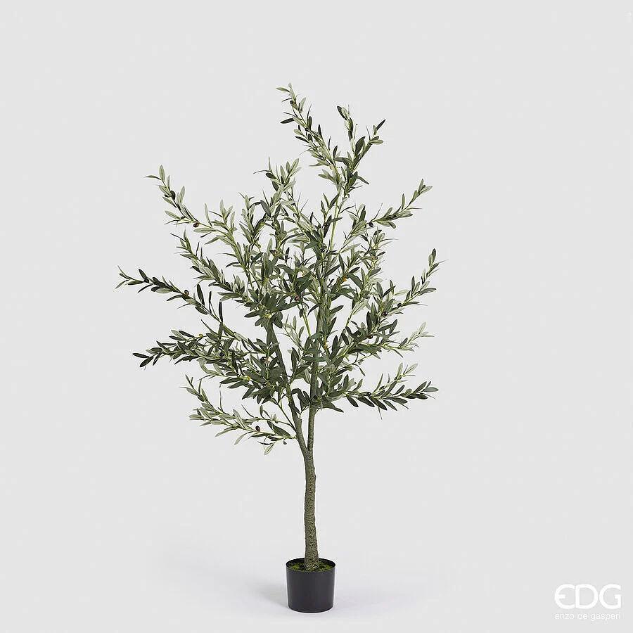 EDG Enzo De Gasperi Olivo con Vaso H 190 Cm Pianta Artificiale Verde