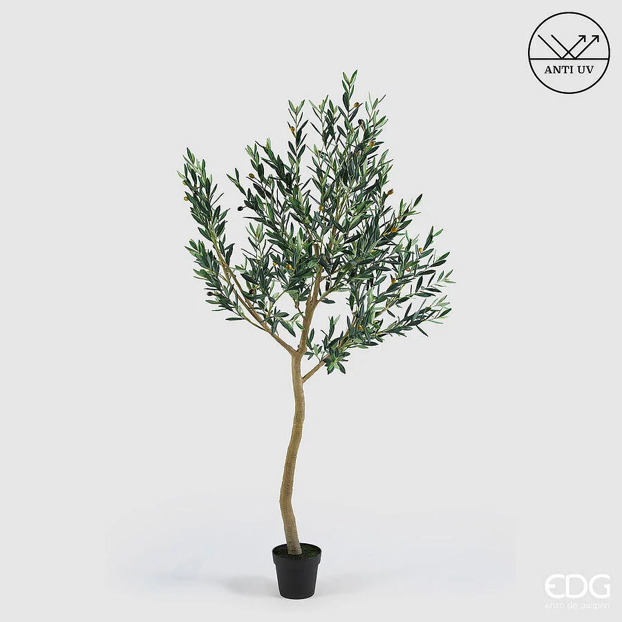 EDG Enzo De Gasperi Olivo con Vaso H 200 Cm Pianta Artificiale Anti Uv Verde