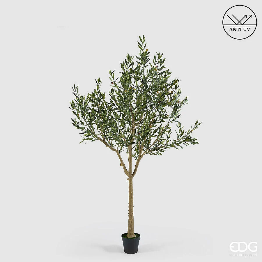 EDG Enzo De Gasperi Olivo con Vaso H 208 Cm Pianta Artificiale Anti Uv Verde