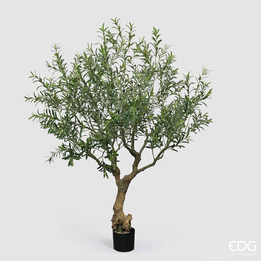EDG Enzo De Gasperi Olivo con Vaso H 230 Cm Pianta Artificiale Verde