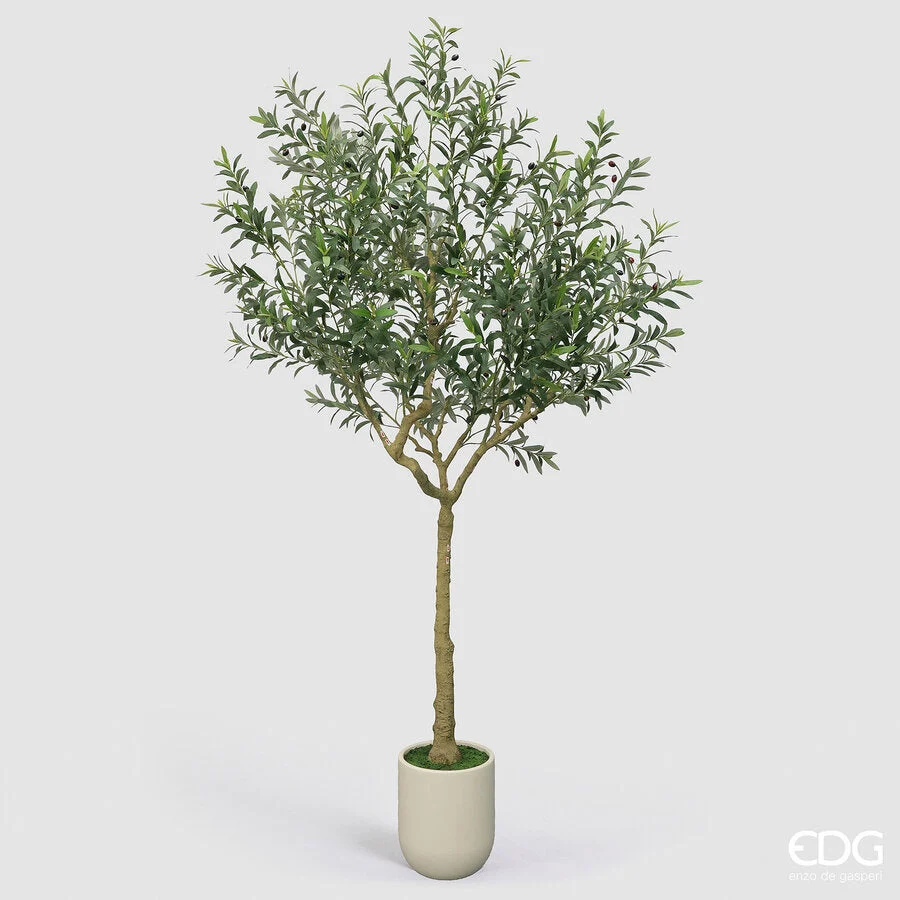 EDG Enzo De Gasperi Olivo con Vaso H 240 Cm Pianta Artificiale Verde