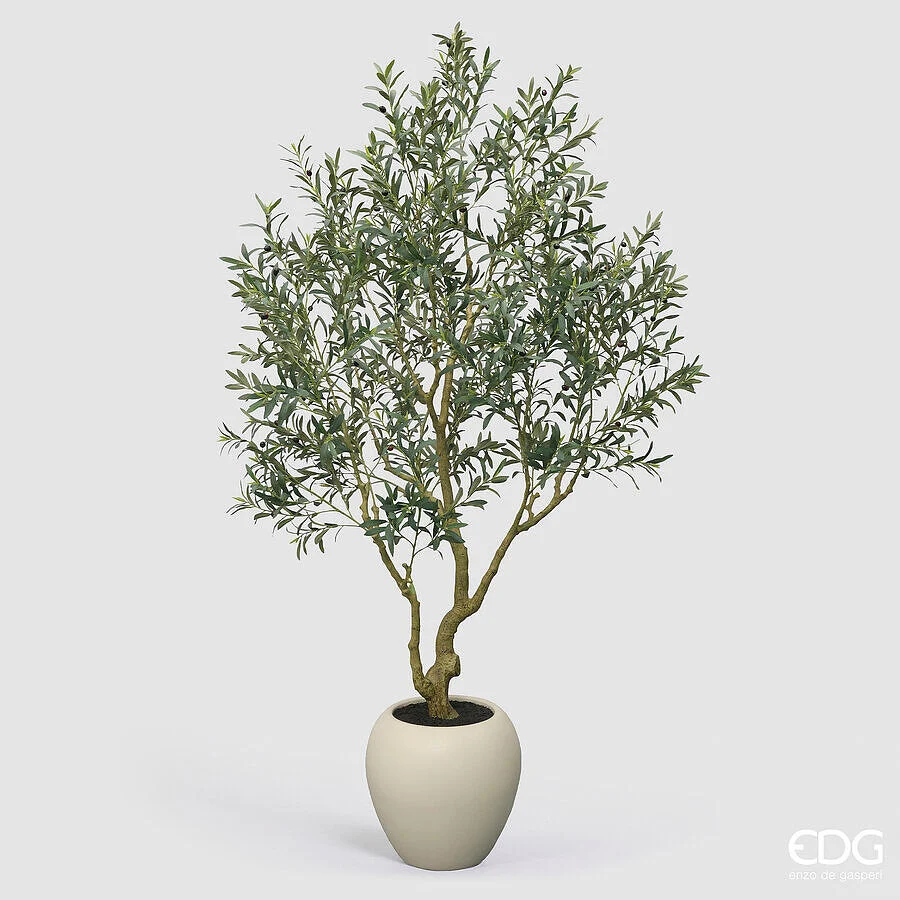 EDG Enzo De Gasperi Olivo Vogue con Vaso Pianta Artificiale H 240 Cm Verde