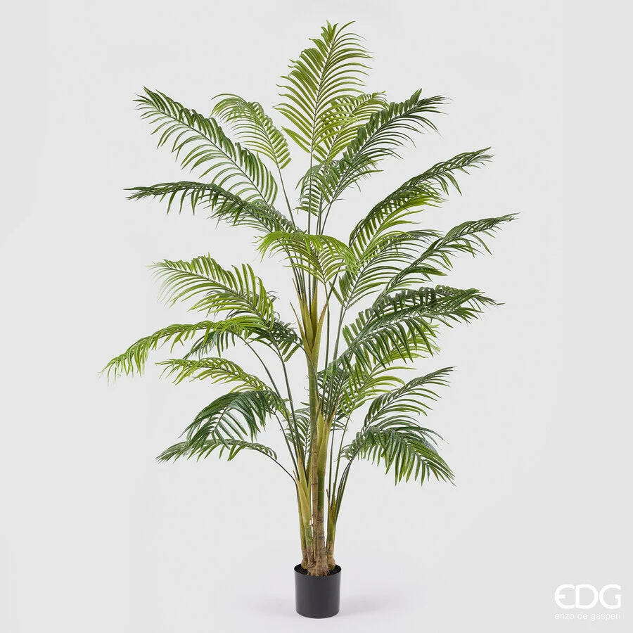 EDG Enzo De Gasperi Palma Areca Vogue con Vaso Pianta Artificiale H 250 Cm Verde