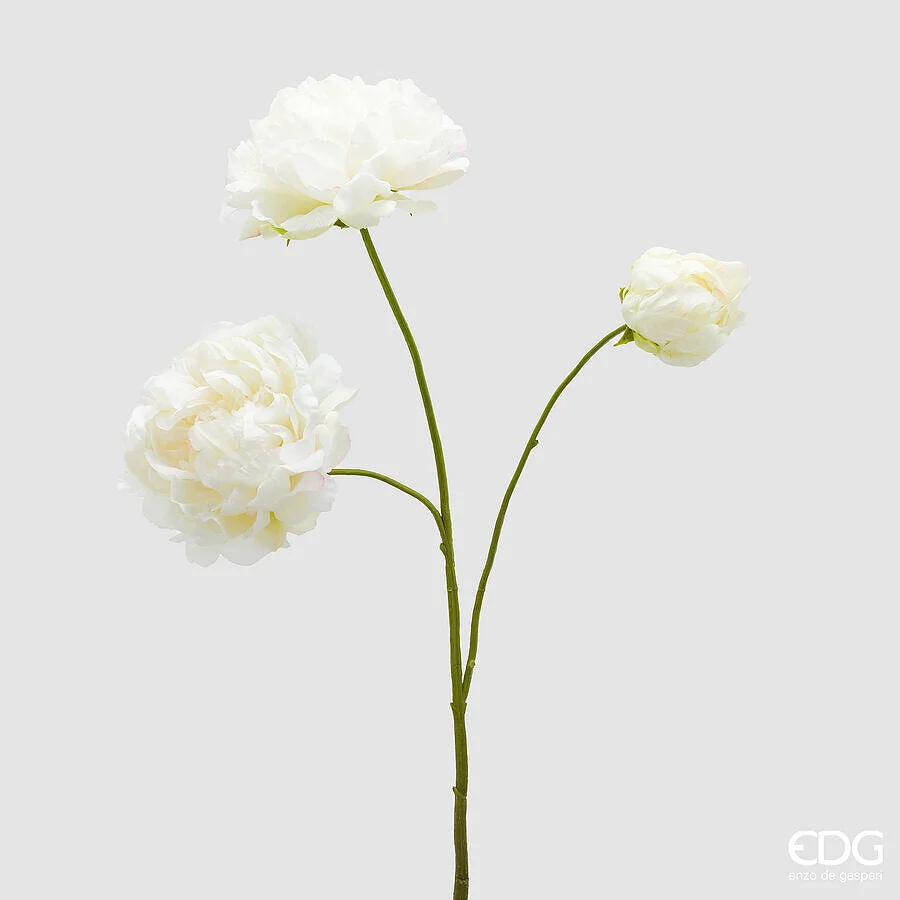EDG Enzo De Gasperi Peonia Ramo x3 con H 67 Cm Pianta Artificiale Colore Avorio