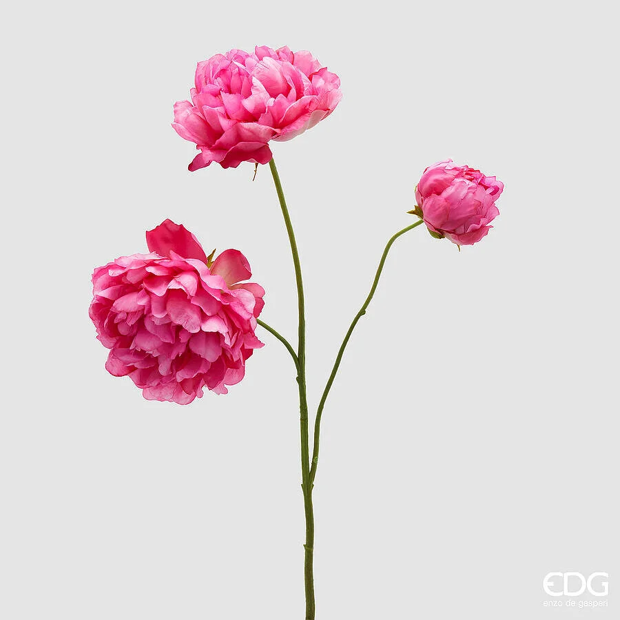 EDG Enzo De Gasperi Peonia Ramo x3 con H 67 Cm Pianta Artificiale Colore Beauty