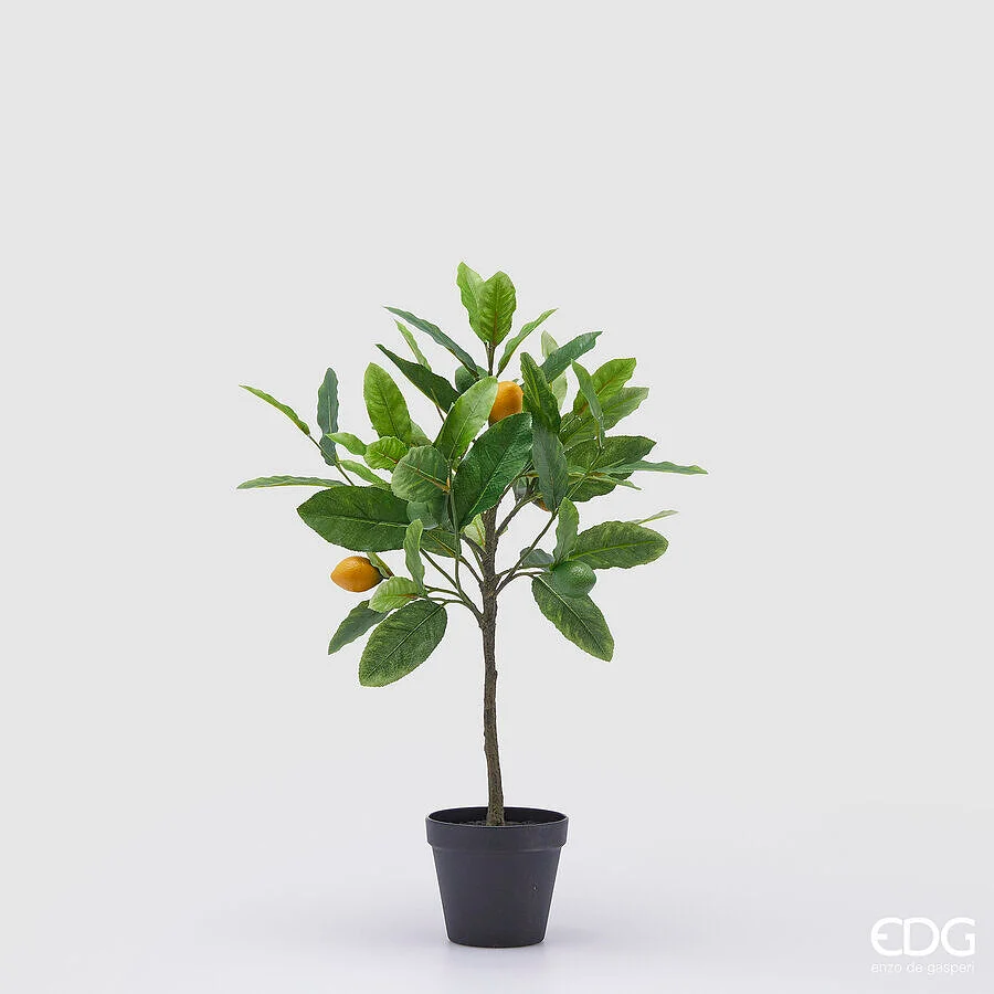 EDG Enzo De Gasperi Pianta Artificiale di Limoni con Vaso H 56 Cm Green Mix