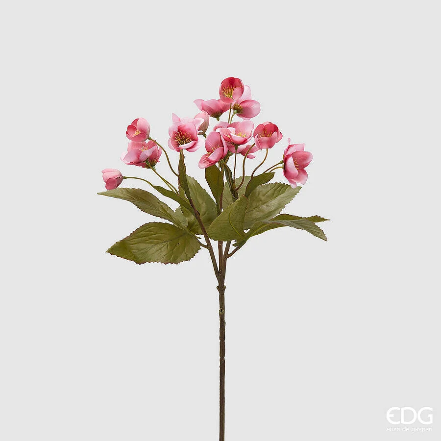 EDG Enzo De Gasperi Ramo Elleboro H 57 Cm Rosa Pesca