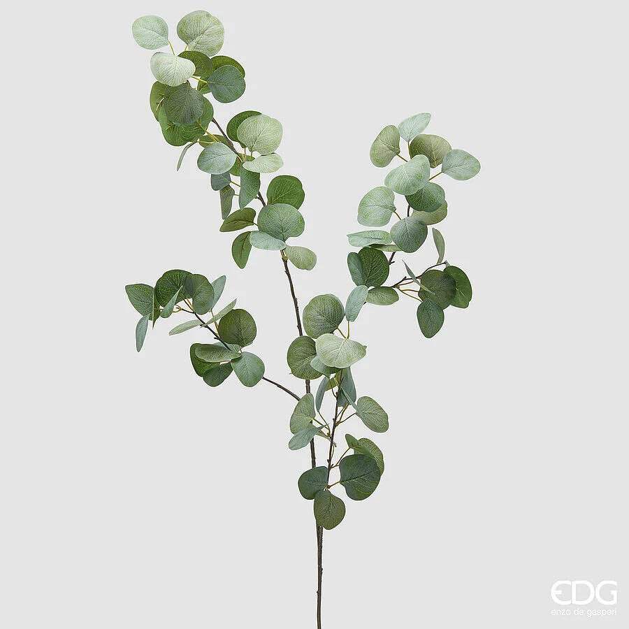 EDG Enzo De Gasperi Ramo eucalipto H 110 Cm Verde