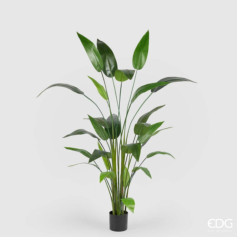 EDG Enzo De Gasperi Strelizia con Vaso x26 Pianta Artificiale H 184 Cm Verde