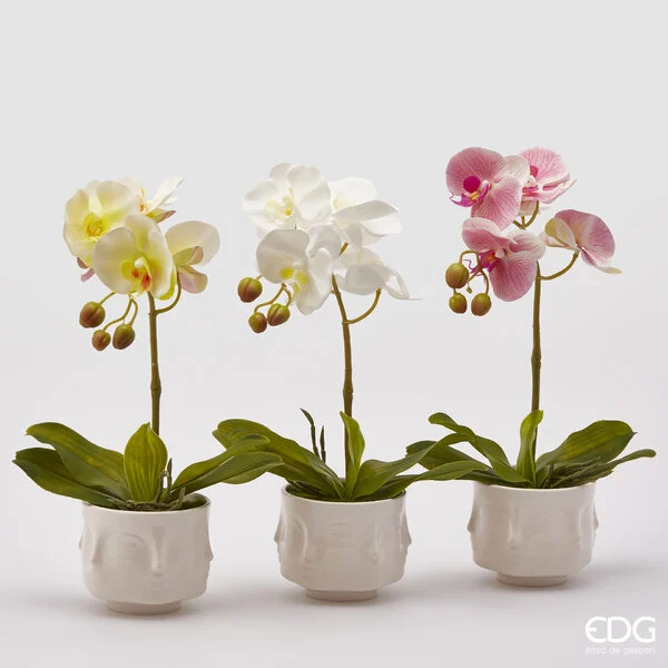 EDG Enzo De Gasperi Orchidea Artificiale H 40 Cm Ass. Bianca o Gialla o Fuxia 1 Pz