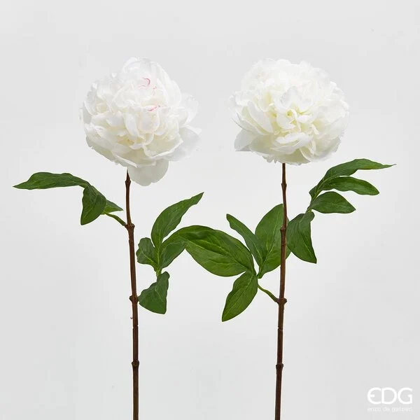EDG Enzo De Gasperi Peonia Olis Ramo H 65 Cm 1 Pz Bianco