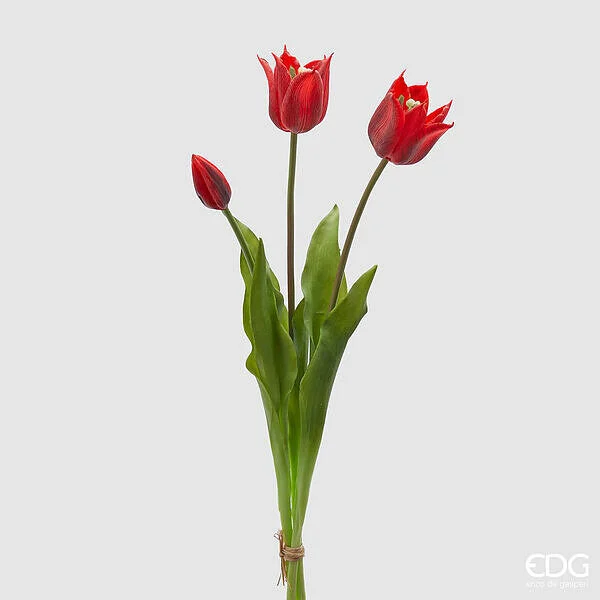 EDG Enzo De Gasperi Tulipano Gommato Olis 3 Rami H 48 Cm Rosso 1 Cf