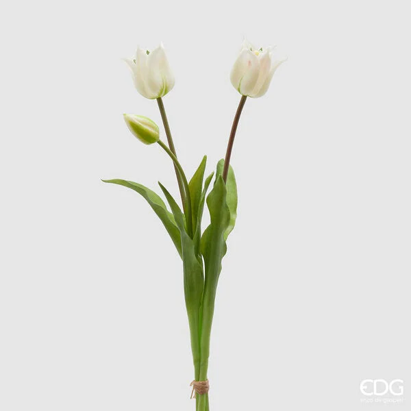 EDG Enzo De Gasperi Tulipano Gommato Olis 3 Rami H 48 Cm Bianco 1 Cf