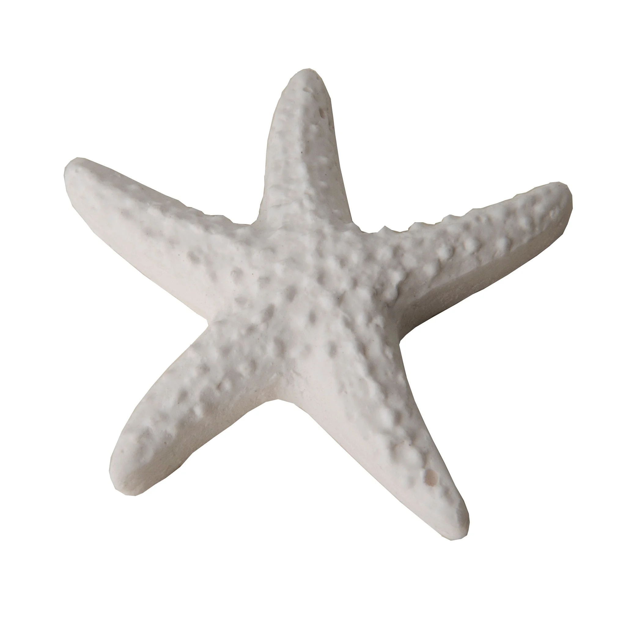 ETM Gesso Stella di Mare Bomboniera 4 Cm Bianco 12 Pz