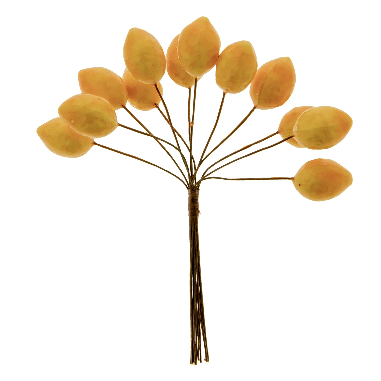 ETM Natura Limone Addobbo Bomboniera 2,5 Cm Giallo 12 Pz