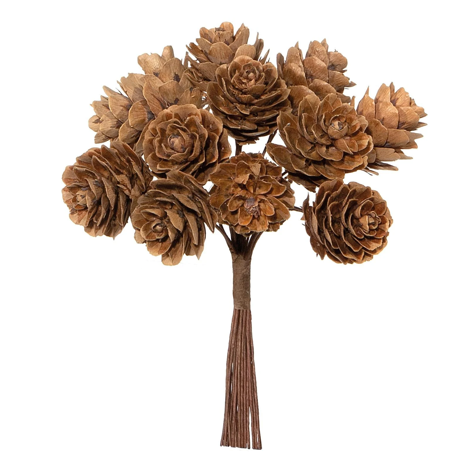 Piovaccari Mazzolino 12 Pigne Natale H 11 Cm Natural