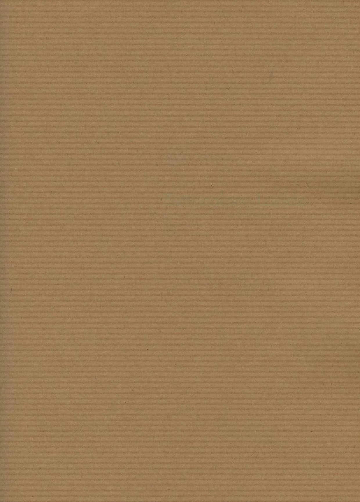 Saul Sadoch Carta Regalo Ecocolor H 0,70 Mt L 25 Mt Avana
