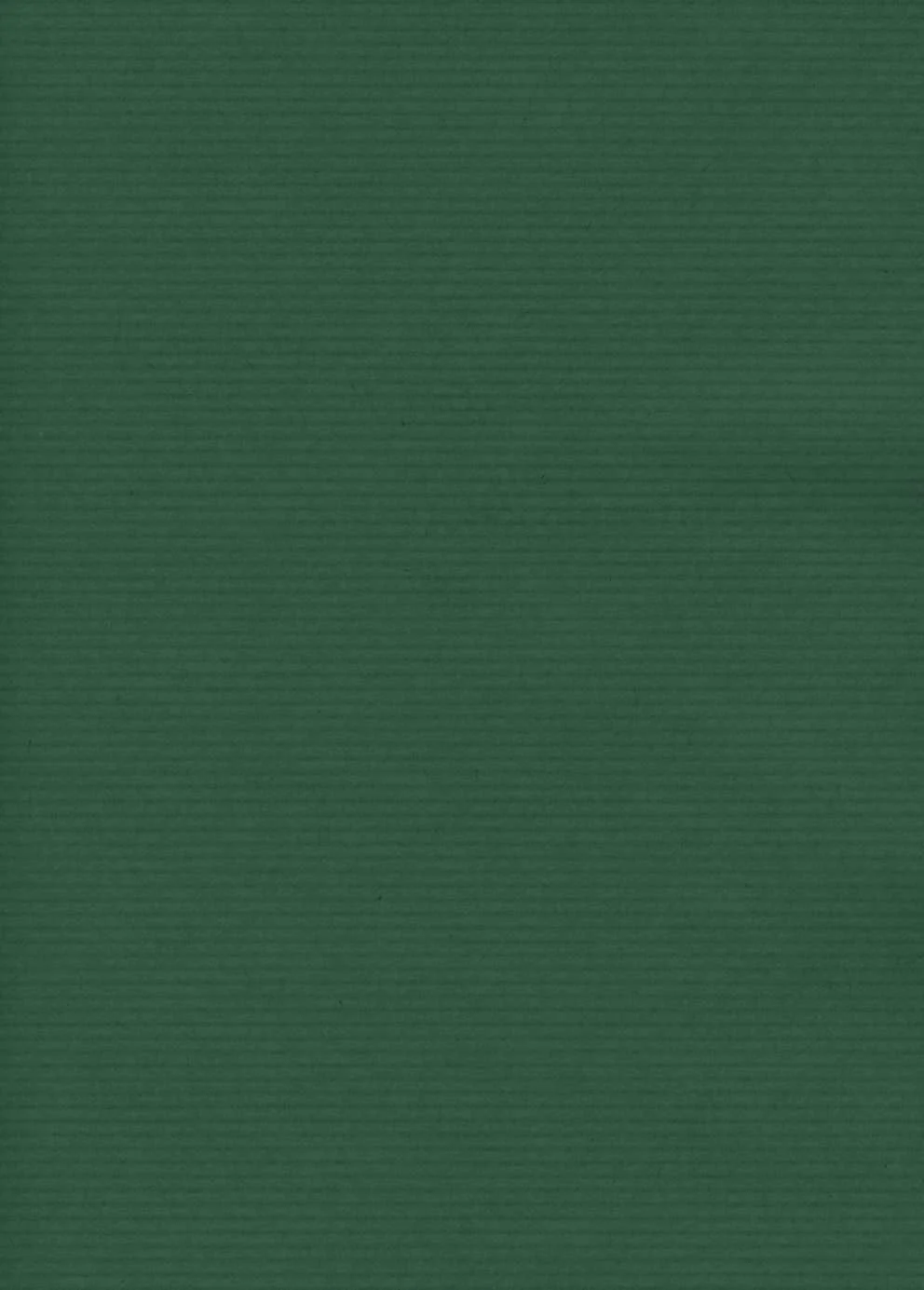 Saul Sadoch Carta Regalo Ecocolor H 0,70 Mt L 25 Mt Verde