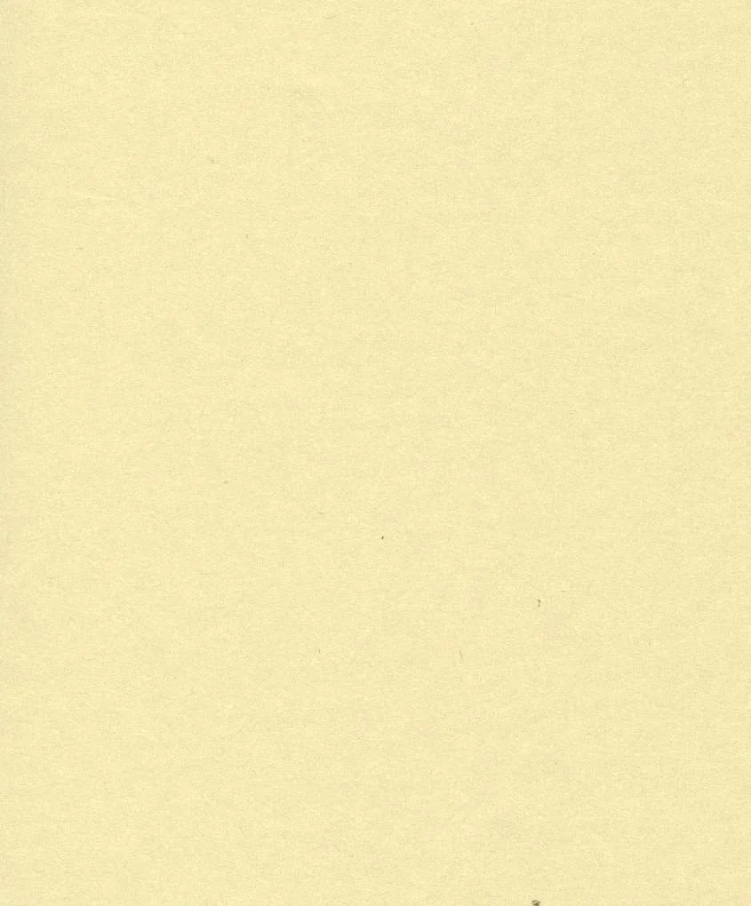 Saul Sadoch Carta Regalo Perlage H 0,70 Mt L 25 Mt Panna
