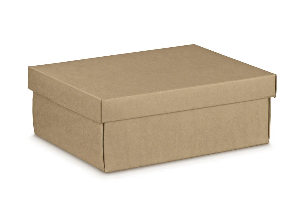 Scotton Scatola Fondo e Coperchio 240 x 130 x 45 Mm Avana 10 Pz