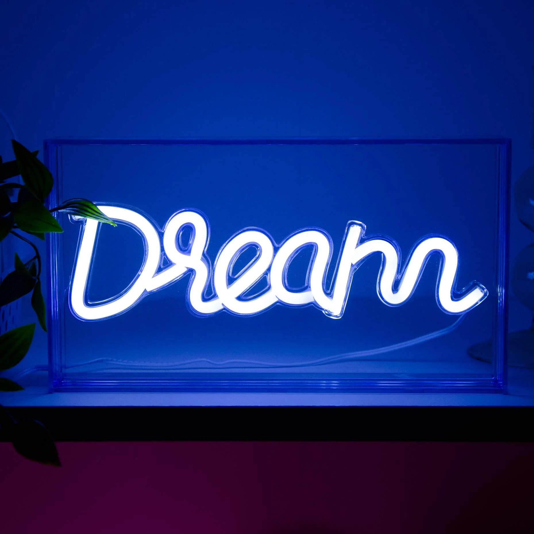 WD LifeStyle Insegna Neon con Cornice in Plexiglass 23 x 13 Cm Decoro Dream