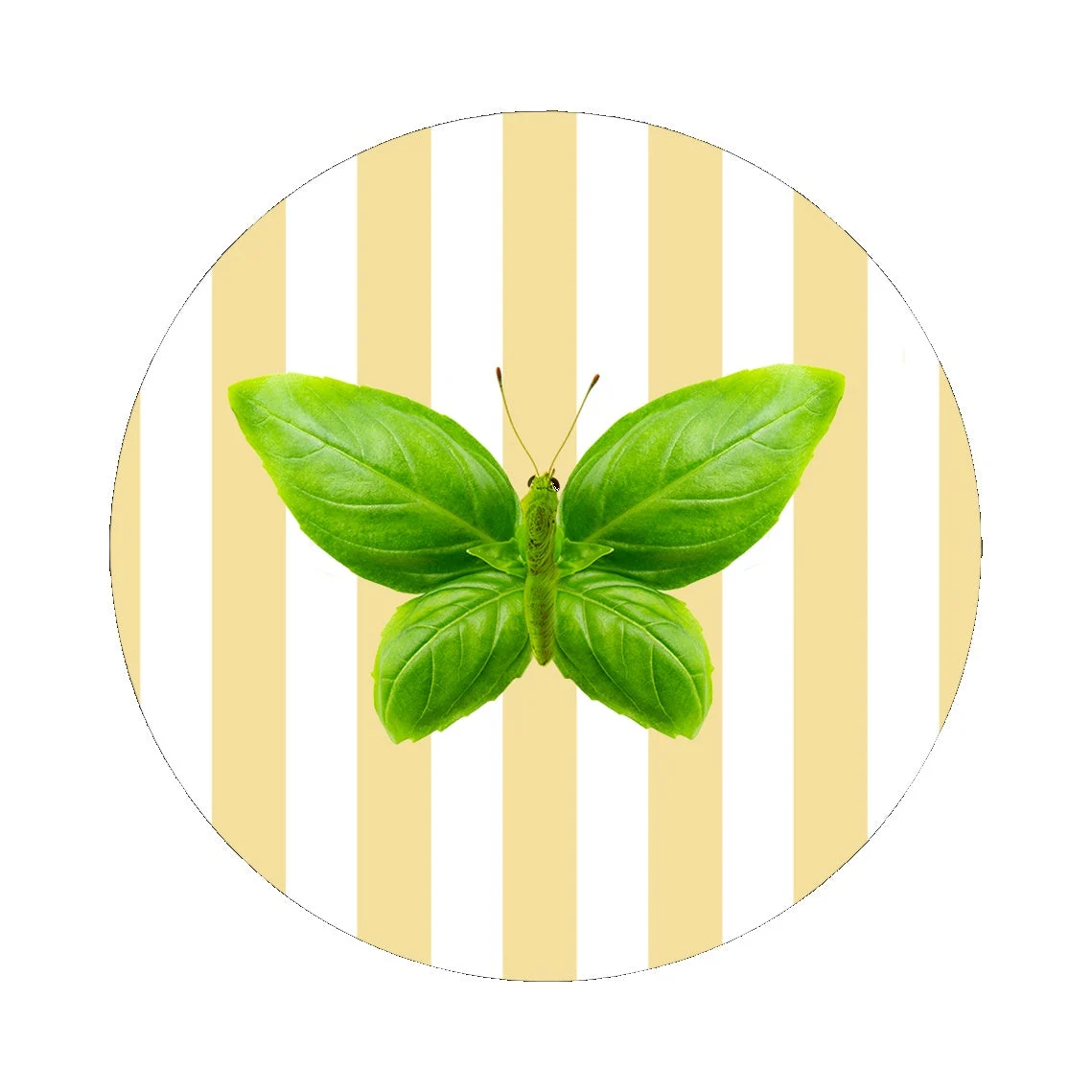 WD LifeStyle Sottopentola in Ceramica D 18 Cm Decoro Farfalla