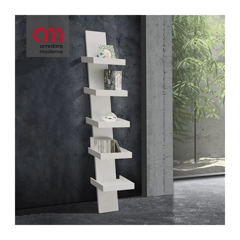 Libreria Step Tomasucci